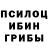 Псилоцибиновые грибы мухоморы Dmitry Vikharev