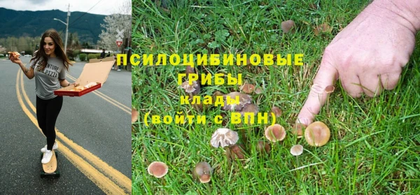 скорость Алзамай