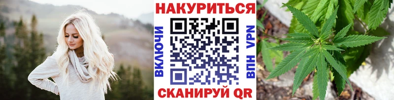 Конопля OG Kush  продажа наркотиков  Киселёвск 